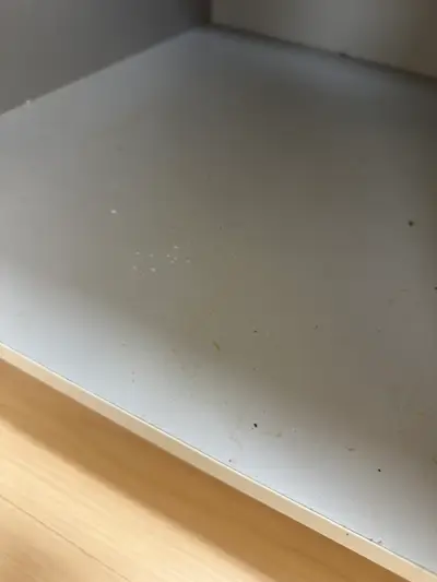 마산이사청소 전후 비교, 새 집처럼 반짝이는 이유 현장 사진
