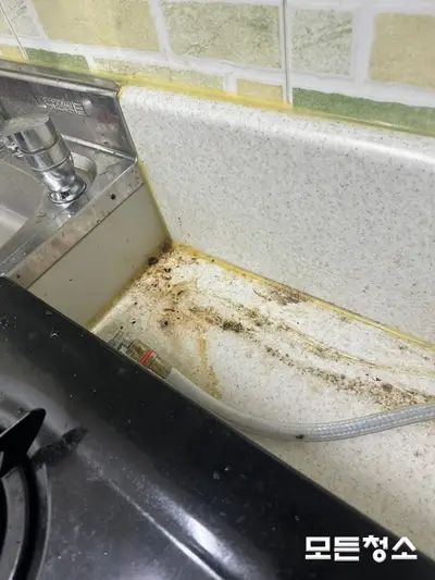 창원원룸청소 관리가 전혀안되어 있던 원룸 청소후기 현장 사진