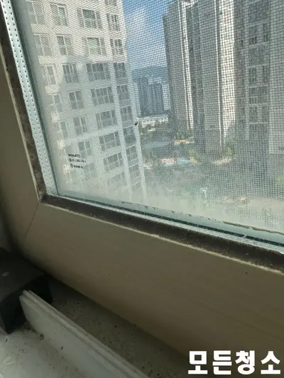 창원입주청소 이사 고민 더 이상 하지 마세요 현장 사진